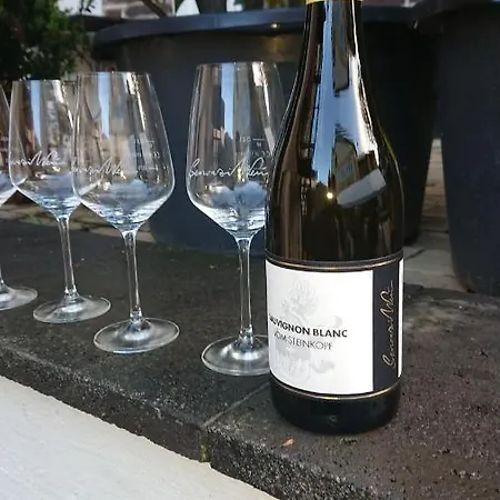 Ferienweingut Serwaziwein 2* Mesenich