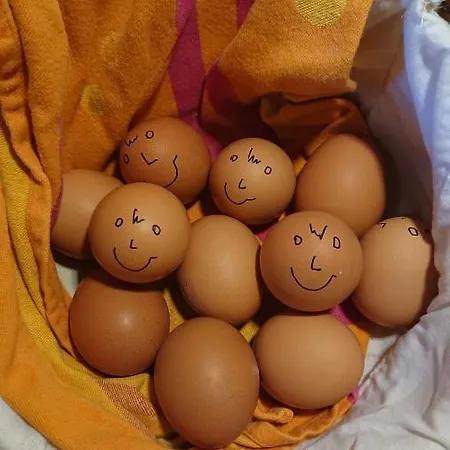 Ferienweingut Serwaziwein فندق