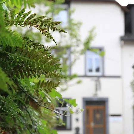 Ferienweingut Serwaziwein Otel Mesenich