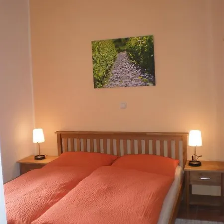 Hotel Ferienweingut Serwaziwein 2*