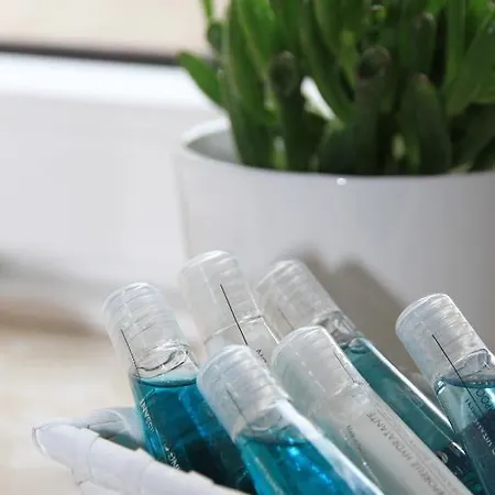 酒店 弗瑞恩维恩吉特赛尔瓦兹维恩酒店 2*