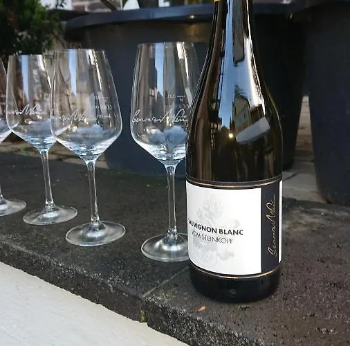 Ferienweingut Serwaziwein 2* Mesenich