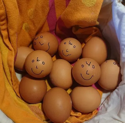 Ferienweingut Serwaziwein Hotel