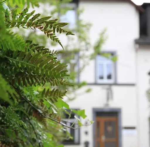 Ferienweingut Serwaziwein Hotel Mesenich